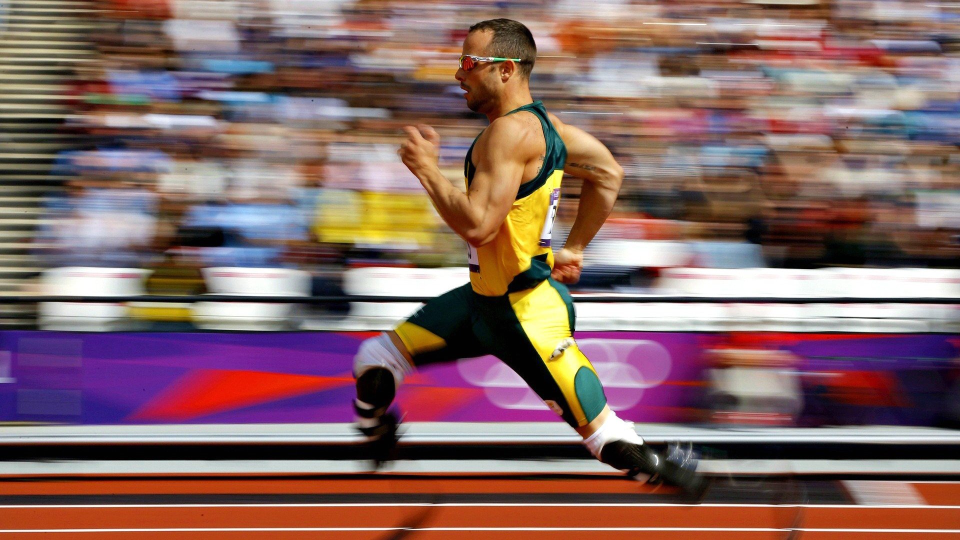 【新一代观众体验】虚拟互动、360度全景带你走进赛场！，vr全景表演